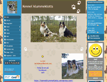 Tablet Screenshot of klummeklotts.se